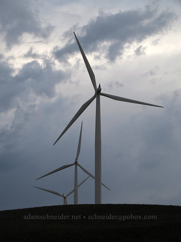windmills [U.S. Highway 97, Klickitat County, Washington]