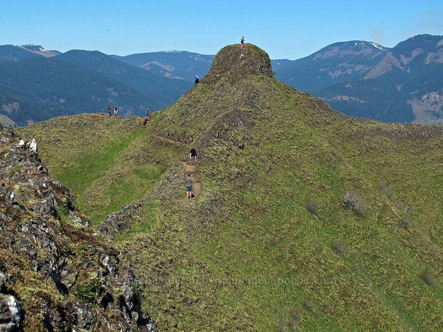 hikers at Munra Point [Munra Point, Columbia River Gorge, Multnomah County, Oregon]