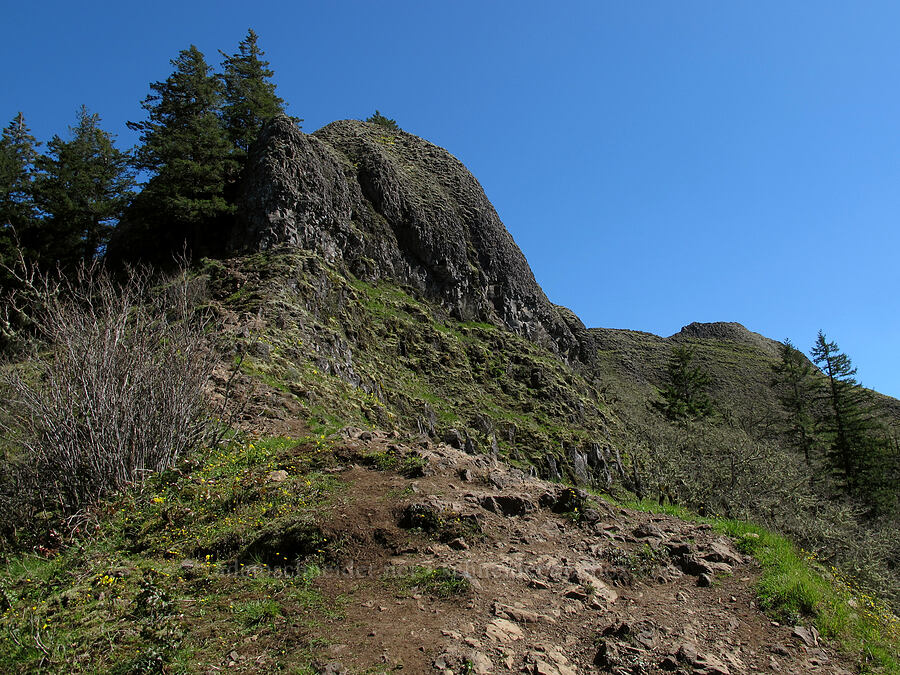 looking up toward Munra Point [Munra Point Trail, Columbia River Gorge, Multnomah County, Oregon]