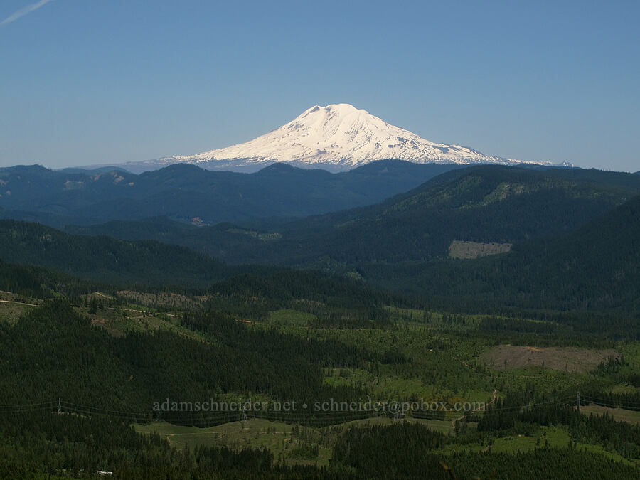 Mt. Adams [Cook Hill, Skamania County, Washington]