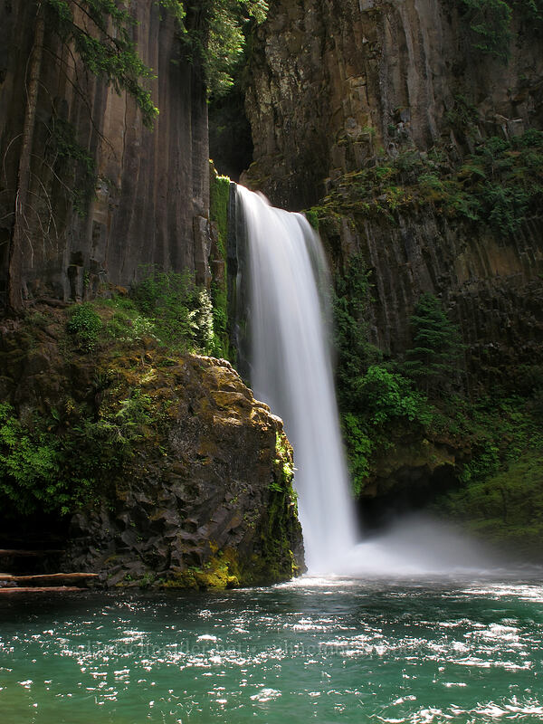 Toketee Falls [Toketee Falls Trail, Umpqua National Forest, Douglas County, Oregon]