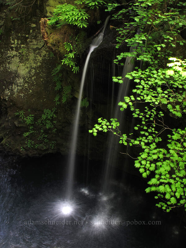 tiny waterfall [Toketee Falls Trail, Umpqua National Forest, Douglas County, Oregon]