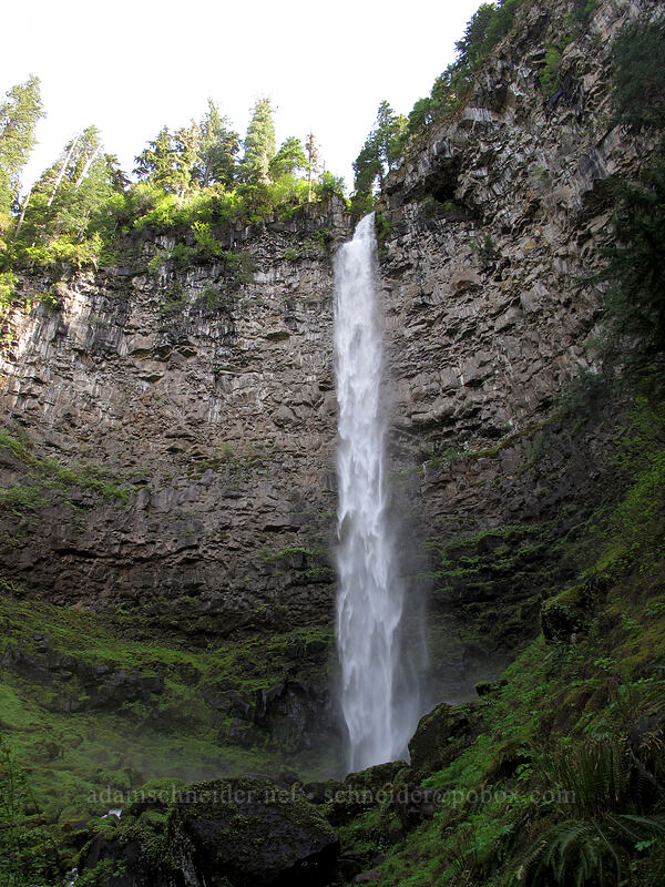 Watson Falls [Watson Falls Trail, Umpqua National Forest, Douglas County, Oregon]