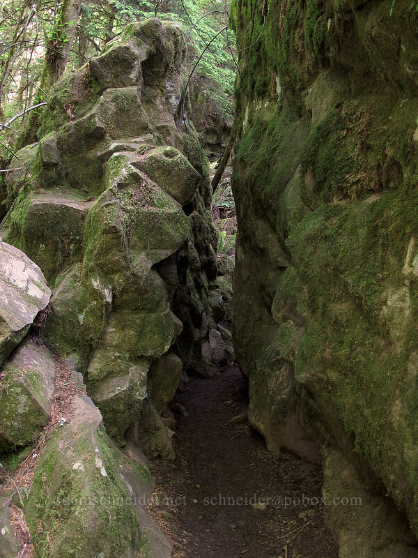 narrow trail through basalt walls [Fall Creek Falls Trail, Umpqua National Forest, Douglas County, Oregon]