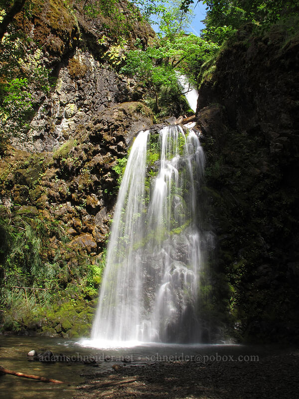 Fall Creek Falls [Fall Creek Falls Trail, Umpqua National Forest, Douglas County, Oregon]