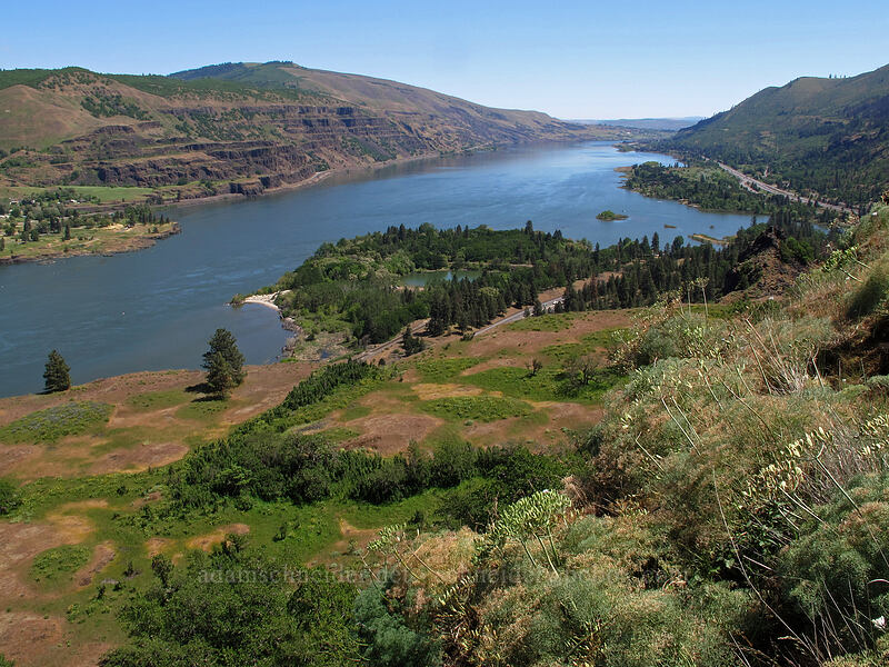 Columbia River [Rowena Plateau, Wasco County, Oregon]