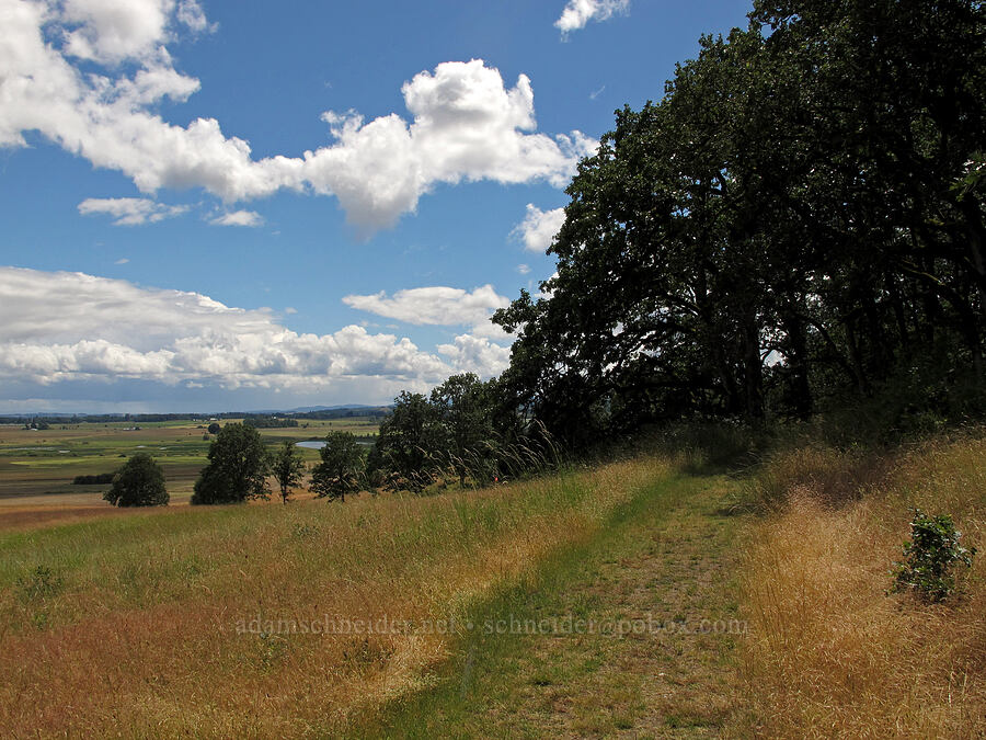 oak trees, grass, & clouds [Baskett Slough NWR, Polk County, Oregon]