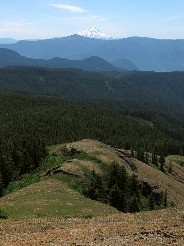 Grassy Knoll's south ridge & Mt. Hood [Grassy Knoll, Gifford Pinchot National Forest, Skamania County, Washington]