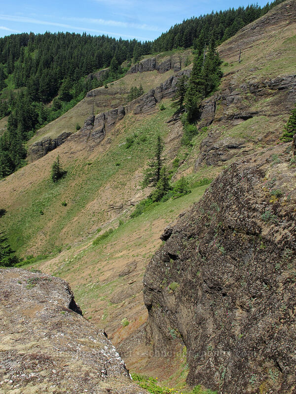 Grassy Knoll's southwest face [Grassy Knoll, Gifford Pinchot National Forest, Skamania County, Washington]