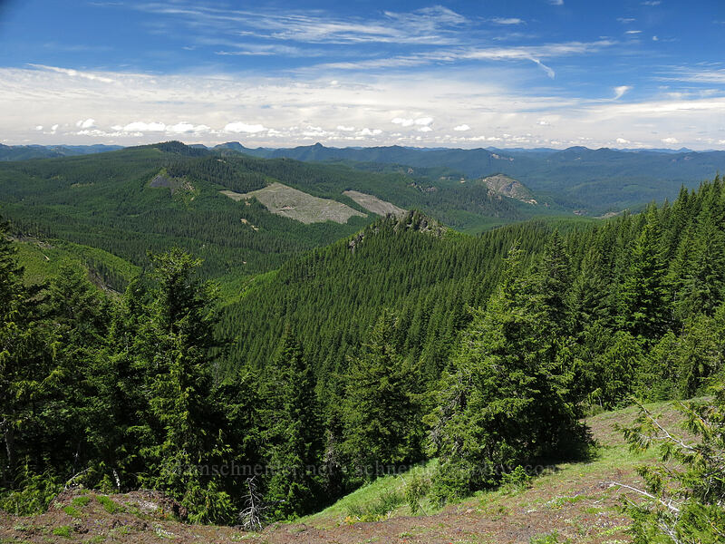 view to the north [Cone Peak Trail, Willamette National Forest, Linn County, Oregon]