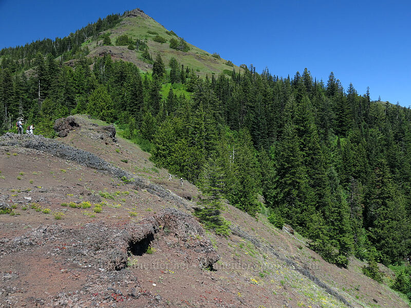 Cone Peak [Cone Peak Trail, Willamette National Forest, Linn County, Oregon]