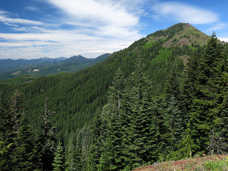 Cone Peak & the Cascades [Cone Peak Trail, Willamette National Forest, Linn County, Oregon]