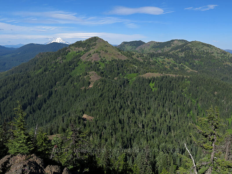 Cone Peak, North Peak, Echo Mountain, South Peak, & Mt. Jefferson [Iron Mountain summit, Willamette National Forest, Linn County, Oregon]