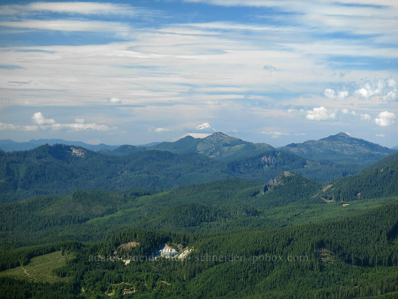 Mt. Hood, Coffin Mountain, & Bachelor Mountain [Iron Mountain summit, Willamette National Forest, Linn County, Oregon]