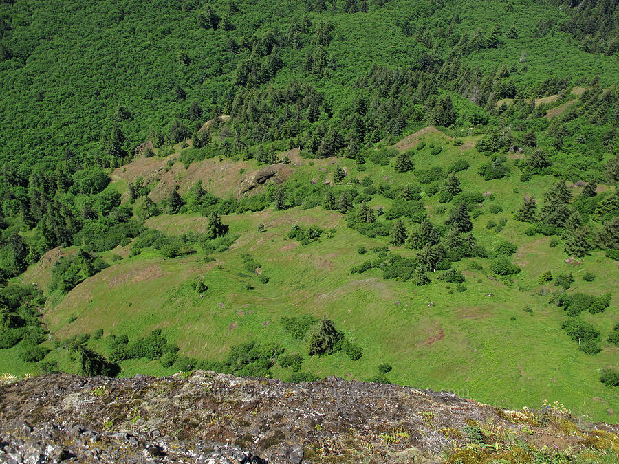 meadows far below the summit [Saddle Mountain summit, Clatsop County, Oregon]