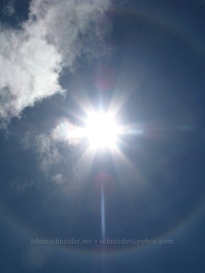 22° solar halo [Saddle Mountain summit, Clatsop County, Oregon]