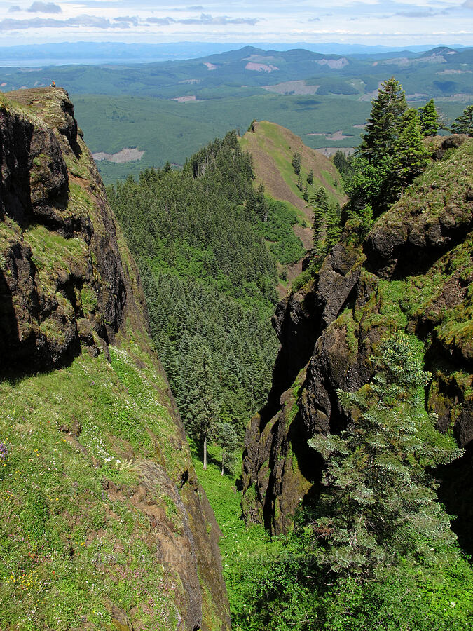steep cliffs [Saddle Mountain Trail, Clatsop County, Oregon]