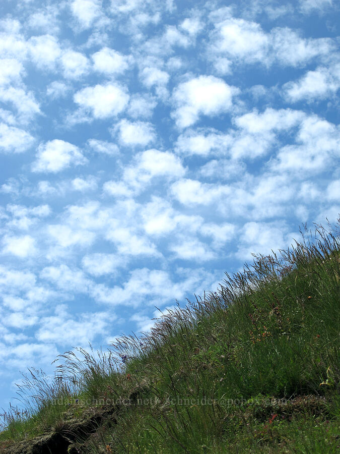 Allison clouds [Saddle Mountain Trail, Clatsop County, Oregon]