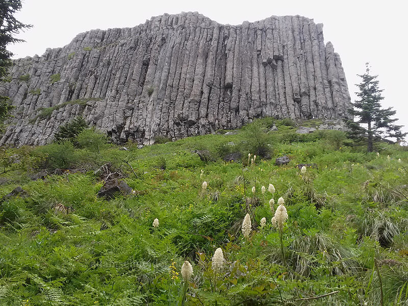 columnar basalt on Sturgeon Rock [Sturgeon Rock Trail, Gifford Pinchot National Forest, Skamania County, Washington]