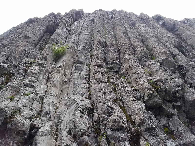 columnar basalt on Sturgeon Rock [Sturgeon Rock, Gifford Pinchot National Forest, Skamania County, Washington]