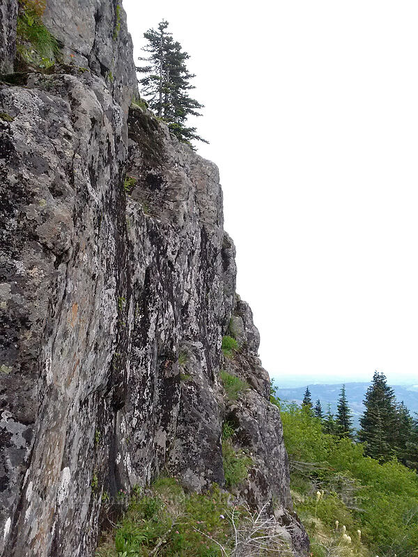 Sturgeon Stairway? [Sturgeon Rock, Gifford Pinchot National Forest, Skamania County, Washington]