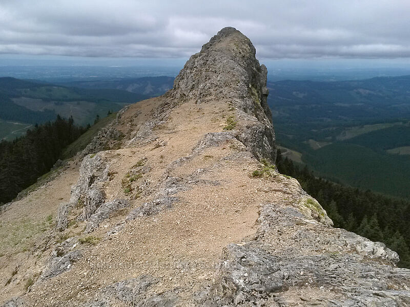 crest of Sturgeon Rock, looking west [Sturgeon Rock, Gifford Pinchot National Forest, Skamania County, Washington]