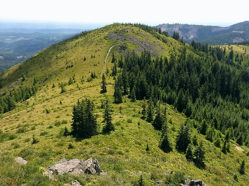 view to the southwest [Pyramid Rock, Gifford Pinchot National Forest, Clark County, Washington]