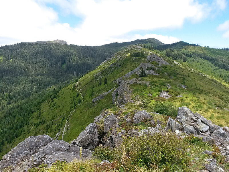 view to the northeast [Pyramid Rock, Gifford Pinchot National Forest, Clark County, Washington]