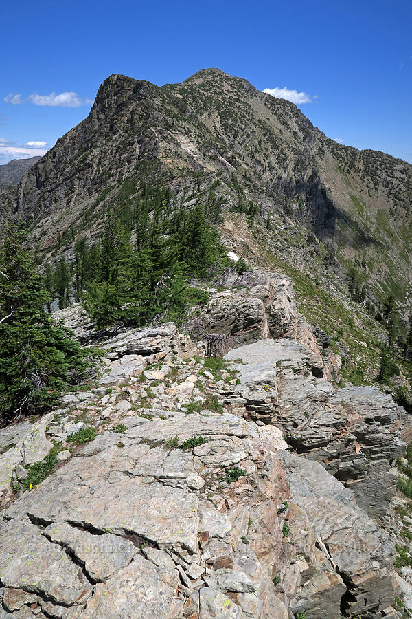 Bockman Peak [Snowshoe Peak-Bockman Peak ridge, Cabinet Mountains Wilderness, Lincoln County, Montana]