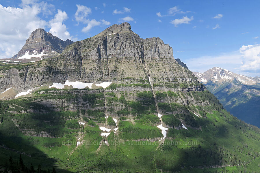 Clements Mountain & Mt. Oberlin [Highline Trail, Glacier National Park, Flathead County, Montana]