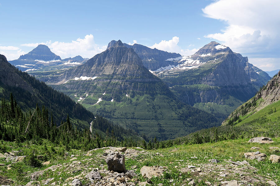 Reynolds Mountain, Clements Mountain, Mt. Oberlin, & Mt. Cannon [Highline Trail, Glacier National Park, Flathead County, Montana]