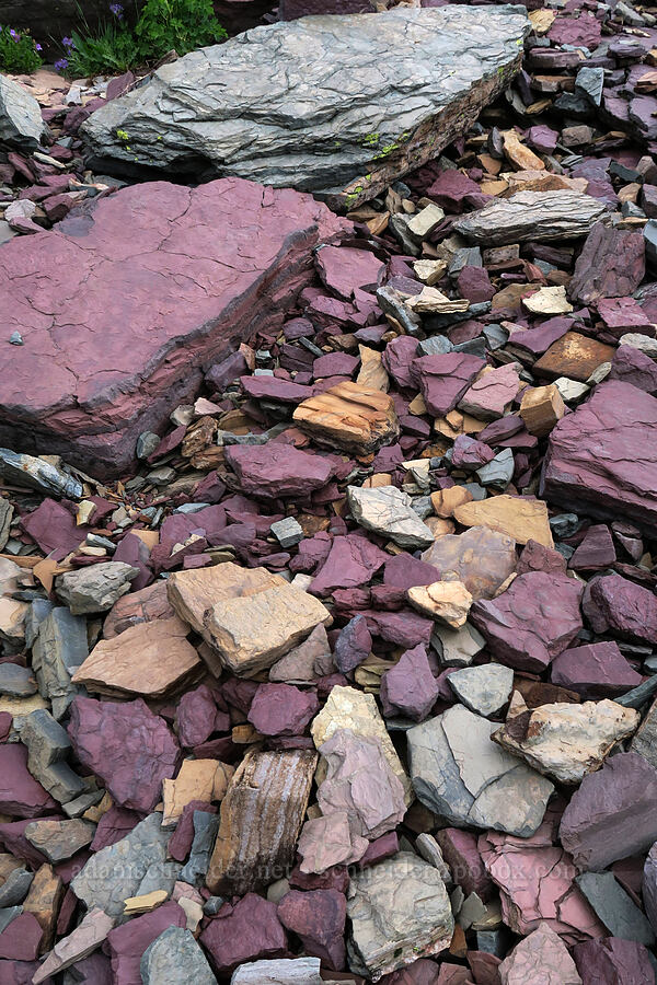 colorful rocks [Garden Wall, Glacier National Park, Flathead County, Montana]