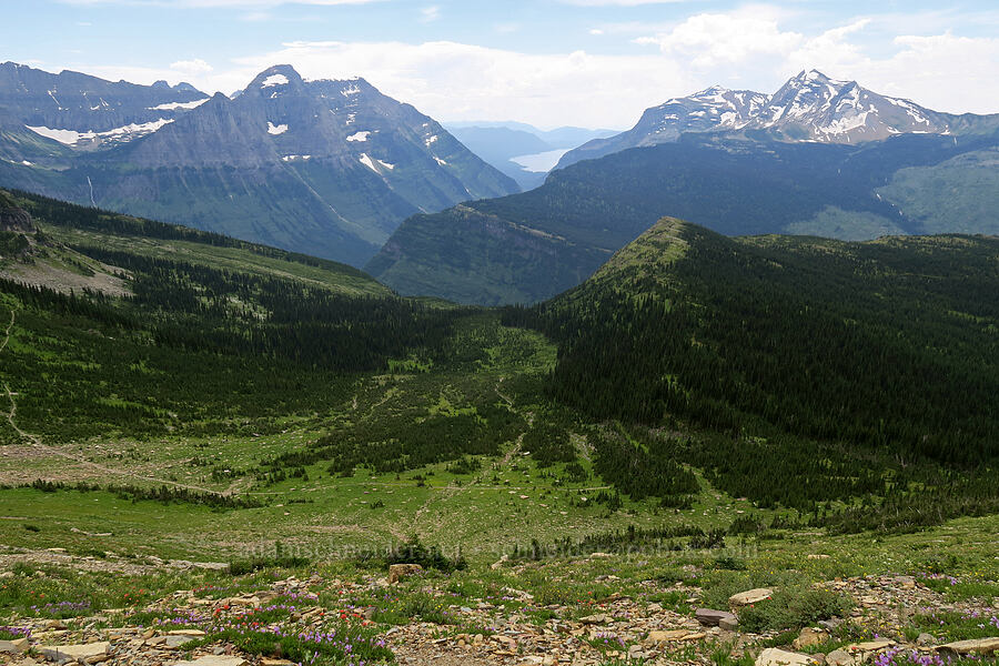 Mt. Cannon, Heavens Peak, & Lake McDonald [Garden Wall Trail, Glacier National Park, Flathead County, Montana]