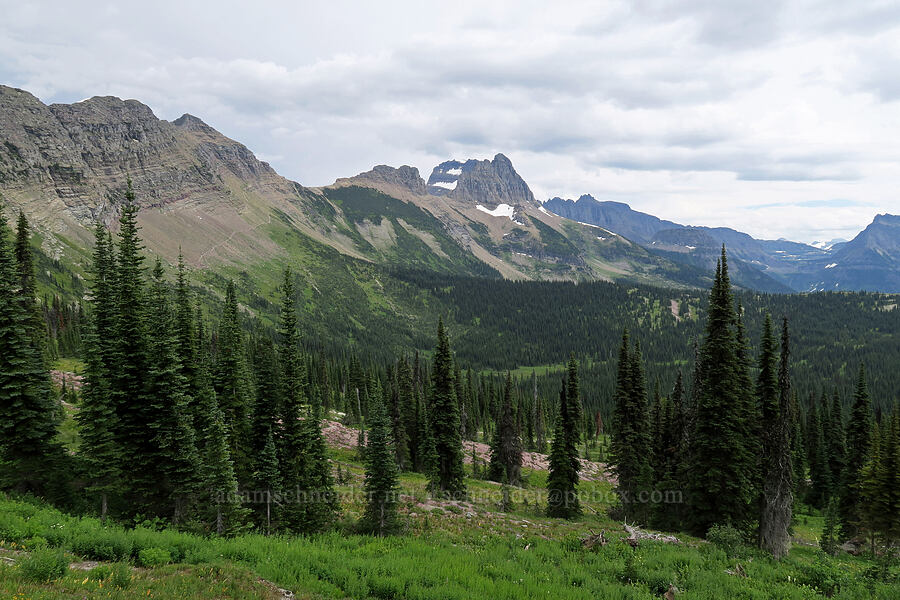 view to the southeast [Granite Park Trail, Glacier National Park, Flathead County, Montana]