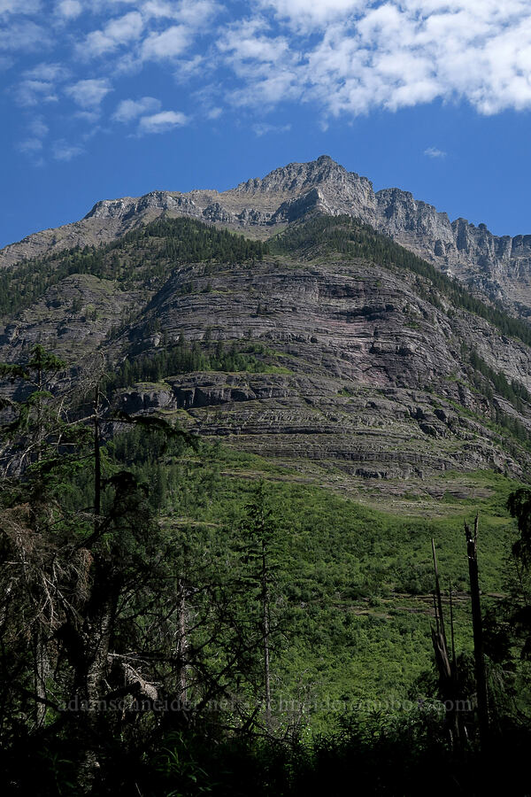 southwest ridge of Mt. Cannon [Avalanche Lake Trail, Glacier National Park, Flathead County, Montana]