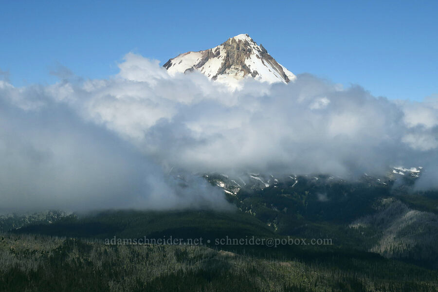 Mount Hood & low clouds [Lookout Mountain Trail, Badger Creek Wilderness, Hood River County, Oregon]