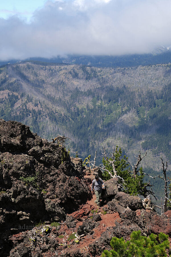 west edge of Lookout Mountain [Lookout Mountain Trail, Badger Creek Wilderness, Hood River County, Oregon]