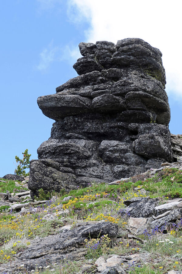 Easter Island-like rock formation [Lookout Mountain Trail, Badger Creek Wilderness, Hood River County, Oregon]
