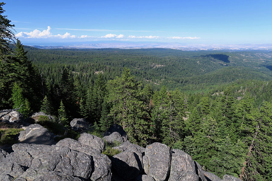 view to the northeast [Bulo Point, Mt. Hood National Forest, Wasco County, Oregon]
