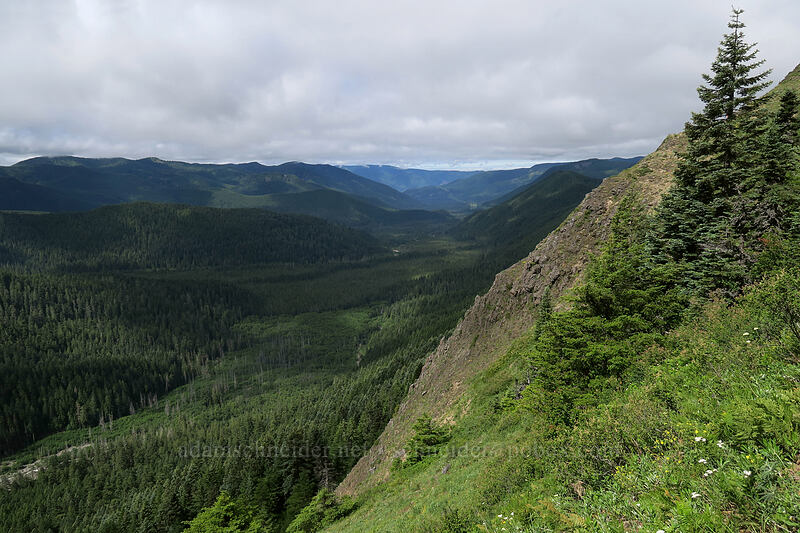 Muddy Fork's valley [Bald Mountain, Mt. Hood Wilderness, Clackamas County, Oregon]