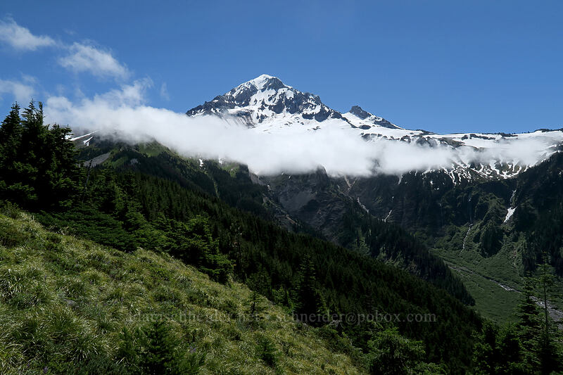 Mount Hood & clouds [Timberline Trail, Mt. Hood Wilderness, Clackamas County, Oregon]