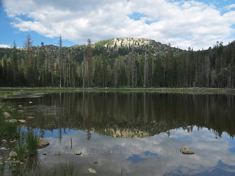 Mumbo Lake [Mumbo Lake, Shasta-Trinity National Forest, California]