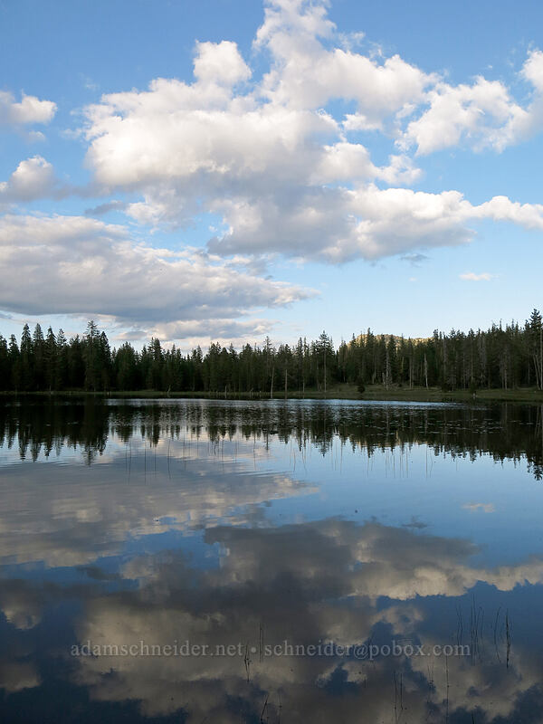 reflected clouds [Gumboot Lake, Shasta-Trinity National Forest, California]