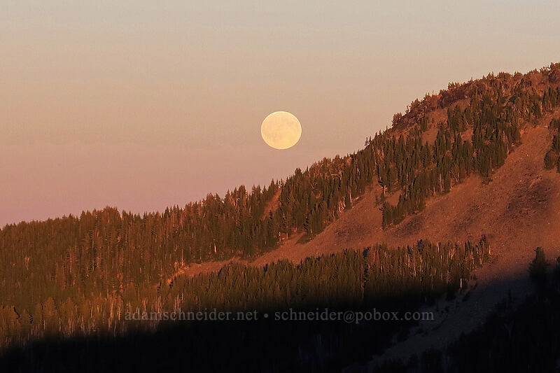 moonrise [above Elk Cove, Mt. Hood Wilderness, Hood River County, Oregon]