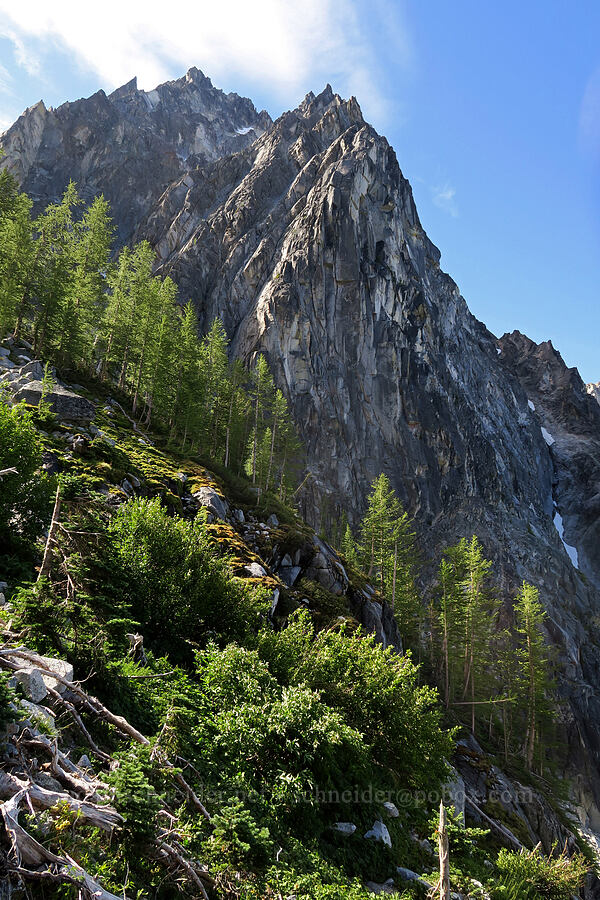 Dragontail Peak [below Aasgard Pass, Alpine Lakes Wilderness, Chelan County, Washington]