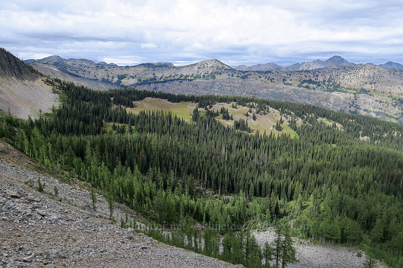 view to the north-northeast [Pacific Crest Trail, Okanogan-Wenatchee National Forest, Okanogan County, Washington]