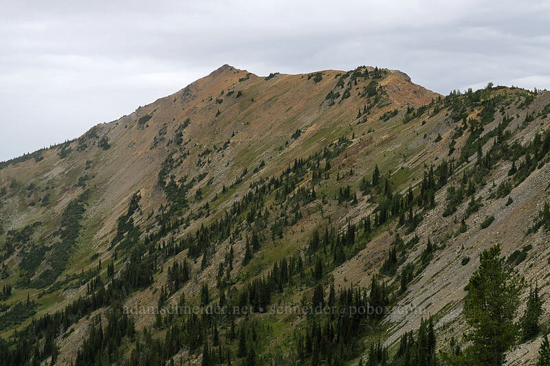 Tatie Peak [Pacific Crest Trail, Okanogan-Wenatchee National Forest, Okanogan County, Washington]