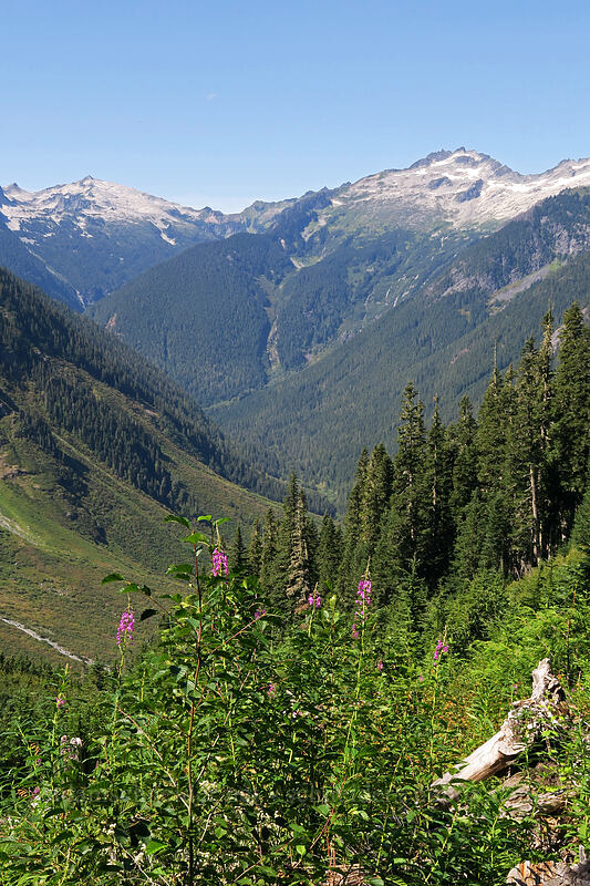 Hidden Lake Peaks, The Triad, & the upper Cascade Valley [Cascade Pass Trail, North Cascades National Park, Skagit County, Washington]