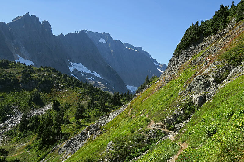 view back toward Cascade Pass [Sahale Arm Trail, North Cascades National Park, Chelan County, Washington]