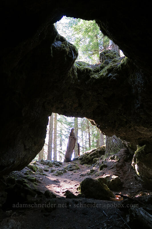 lava cave entrance [Sawyer's Caves, Willamette National Forest, Linn County, Oregon]